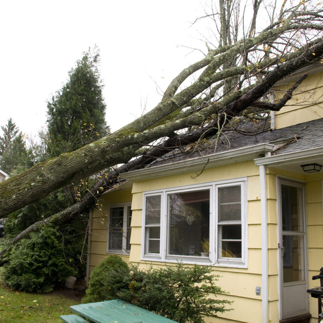 NEW JERSEY, USA, October 2012 - Residential home damage caused by trees falling on roof, a result of the high velocity winds of Hurricane Sandy.